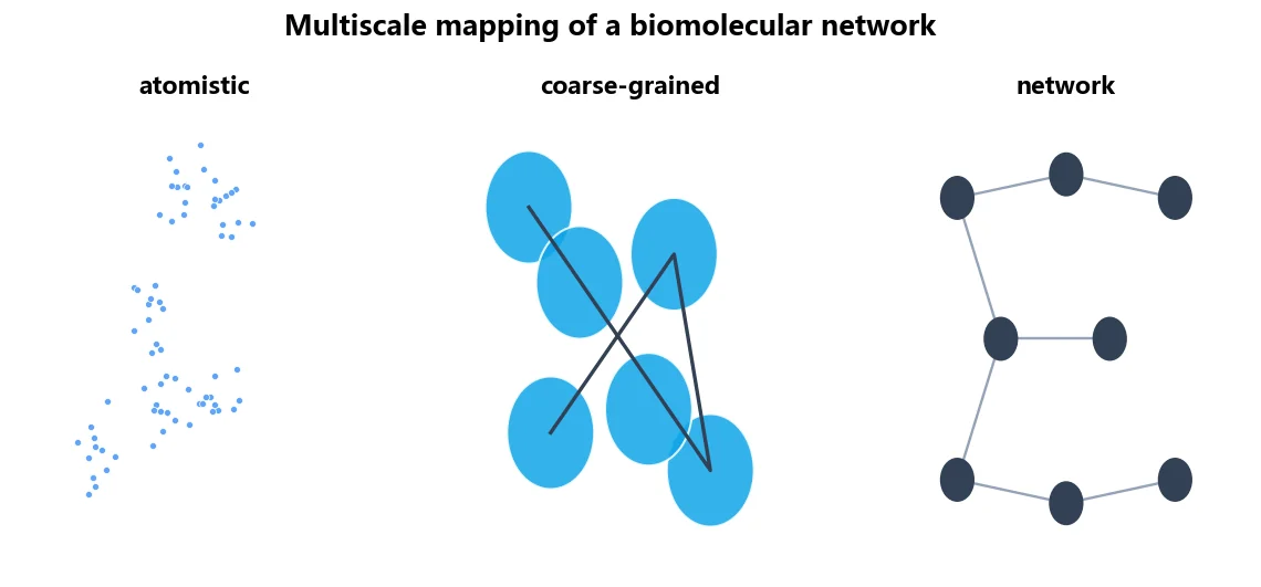 Atomistic, coarse-grained, and network mapping levels of a biomolecular network