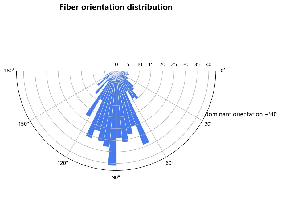 Polar histogram of fiber orientation with a dominant alignment near 90 degrees