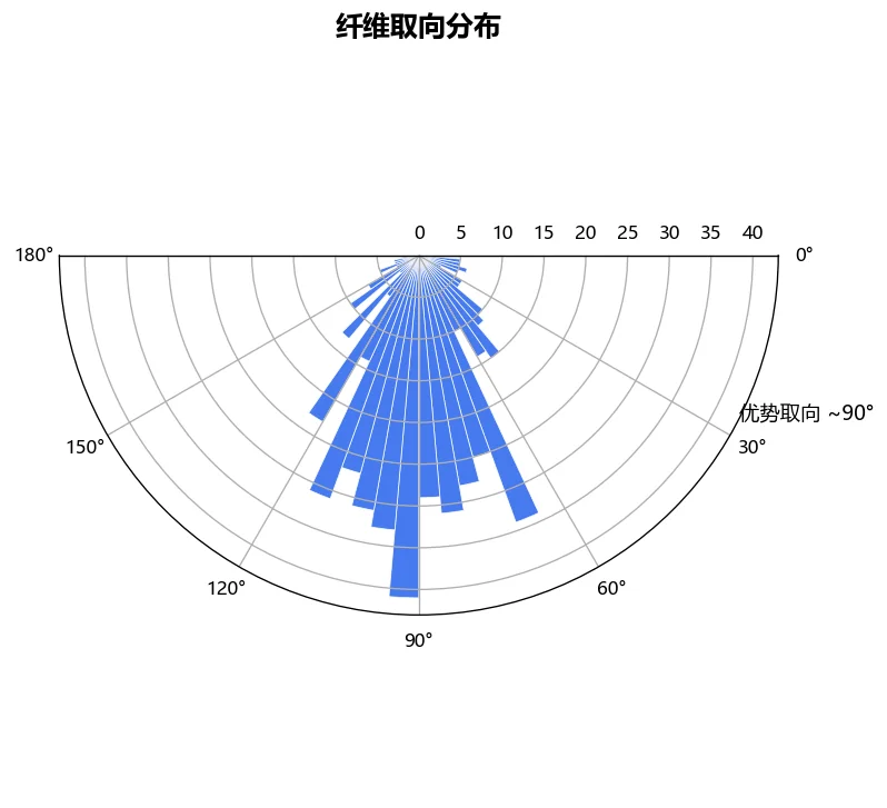 纤维取向分布的极坐标直方图，优势取向约 90 度